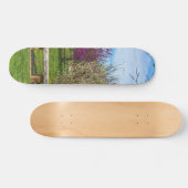 Een veerseizoen persoonlijk skateboard (Horizontaal)