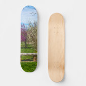 Een veerseizoen persoonlijk skateboard (Voorkant)