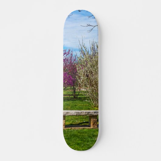 Een veerseizoen persoonlijk skateboard (Voorkant)