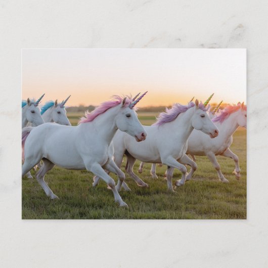 Een veld van eenhoorns briefkaart (Voorkant)