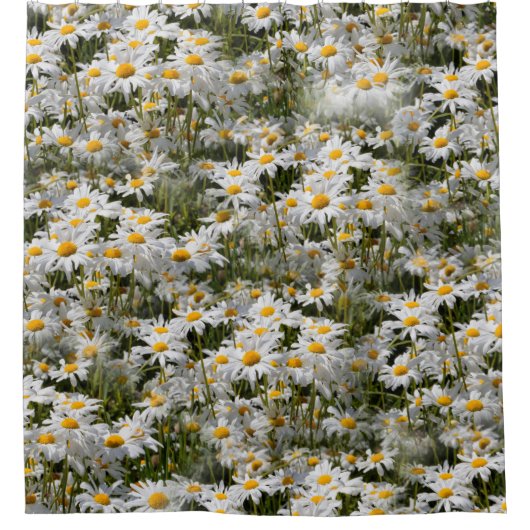 Een veld van Oxeye Daisies Douchegordijn (Voorkant)