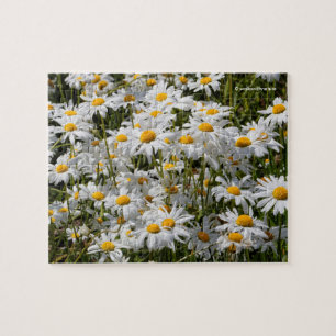 Een veld van Oxeye Daisies Legpuzzel