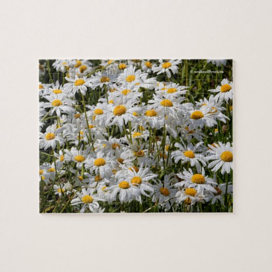 Een veld van Oxeye Daisies Legpuzzel (Horizontaal)