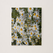 Een veld van Oxeye Daisies Legpuzzel (Verticaal)
