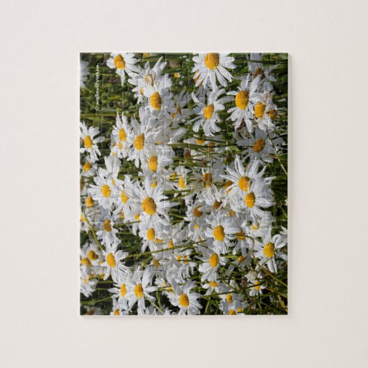 Een veld van Oxeye Daisies Legpuzzel (Verticaal)