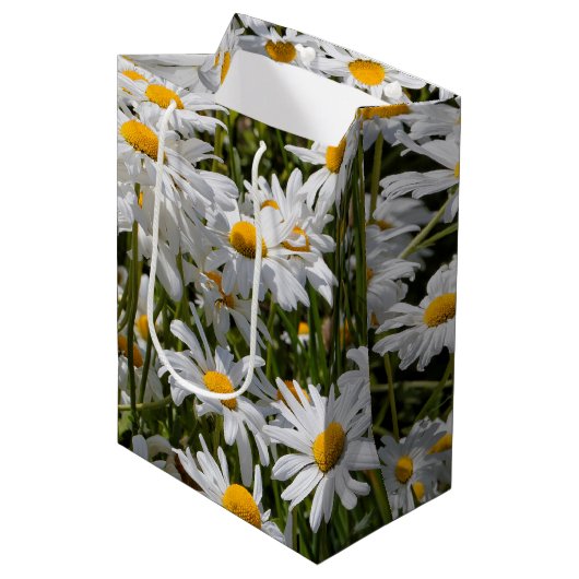 Een veld van Oxeye Daisies Medium Cadeauzakje (Voorkant Gekanteld)