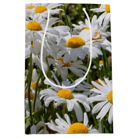 Een veld van Oxeye Daisies Medium Cadeauzakje (Voorkant)