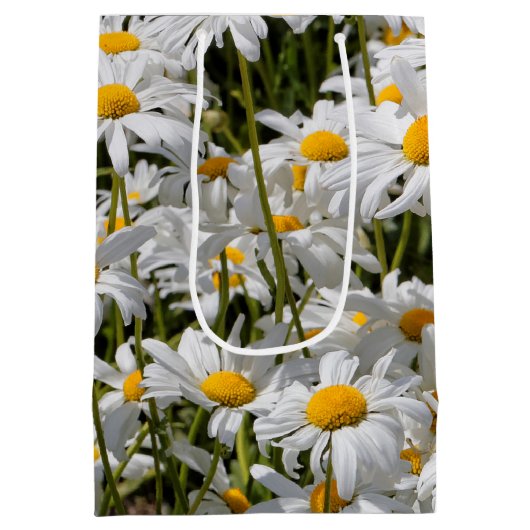 Een veld van Oxeye Daisies Medium Cadeauzakje (Achterkant)