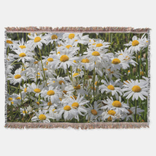 Een veld van Oxeye Daisies op een zonnige zomerdag Deken