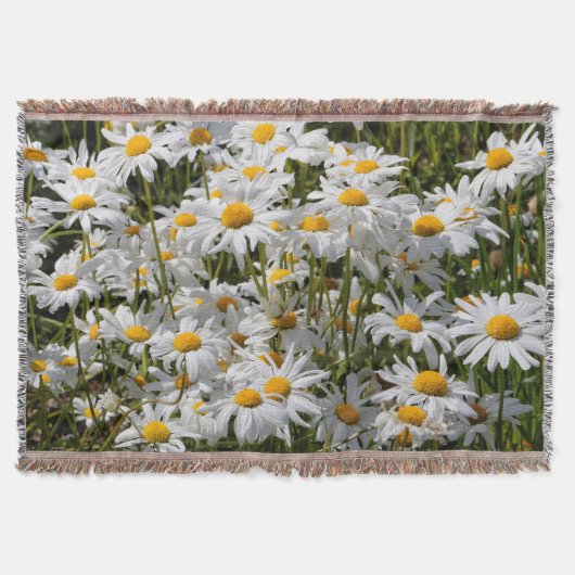 Een veld van Oxeye Daisies op een zonnige zomerdag Deken (Voorkant)