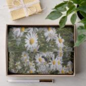 Een veld van Oxeye Daisies Tissuepapier (Geschenk)