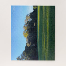 Een veld van reflectie legpuzzel