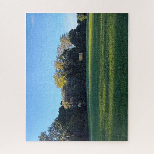 Een veld van reflectie legpuzzel (Verticaal)