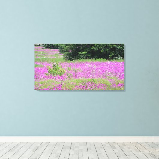 Een veld van roze veer-wildbloemen canvas afdruk (Insitu (Houten vloer))