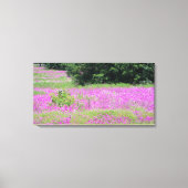 Een veld van roze veer-wildbloemen canvas afdruk (Voorkant)