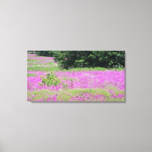 Een veld van roze veer-wildbloemen canvas afdruk (Voorkant)