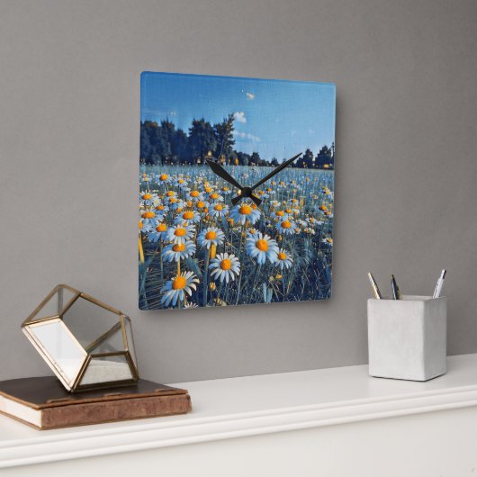 Een veld vol bloeiende kamille vierkante klok (Kantoor)