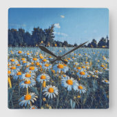Een veld vol bloeiende kamille vierkante klok (Voorkant)
