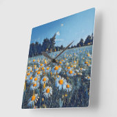 Een veld vol bloeiende kamille vierkante klok (Hoek)