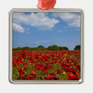 Een veld vol rode bloemen metalen ornament