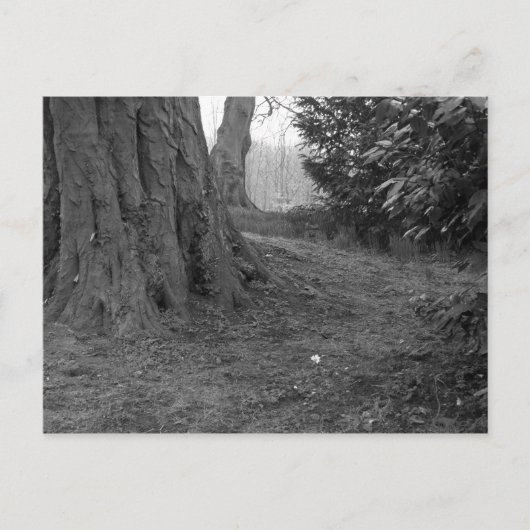 Eén ventilator briefkaart (Voorkant)