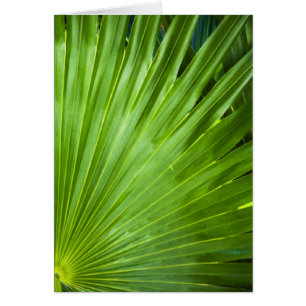Een ventilator van groen