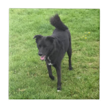 Een verbluffend keramisch keramisch tapijtbestand 