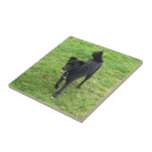 Een verbluffend keramisch keramisch tapijtbestand  tegeltje (Zijkant)