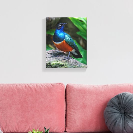 Een verbluffende Afrikaanse superman Canvas Afdruk (Insitu (Woonkamer))