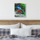 Een verbluffende Afrikaanse superman Canvas Afdruk (Insitu (Slaapkamer))