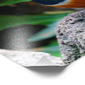 Een verbluffende Afrikaanse superman Foto Afdruk (Hoek)