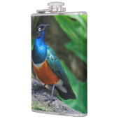 Een verbluffende Afrikaanse superman Heupfles (Links)