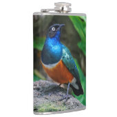 Een verbluffende Afrikaanse superman Heupfles (Rechts)