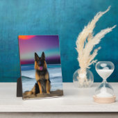 Een verbluffende strandherder fotoplaat (Zijkant)