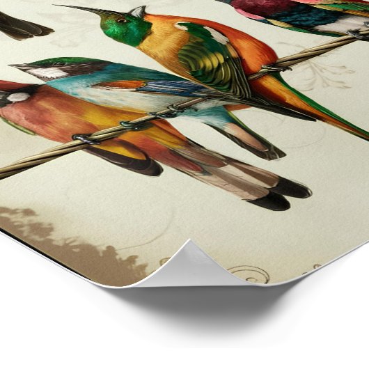 Een verbluffende  vogeltjes op draad poster (Hoek)