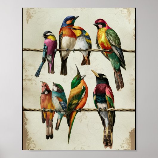 Een verbluffende  vogeltjes op draad poster (Voorkant)