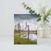 Een verborgen moerasmeer in Jämtland Zweden Briefkaart (Staand voorkant)