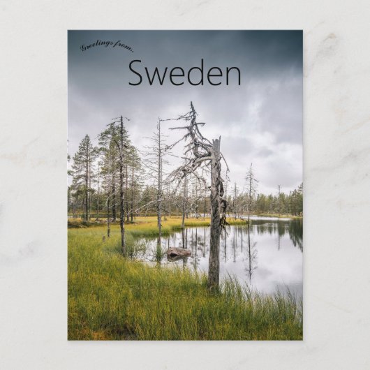 Een verborgen moerasmeer in Jämtland Zweden Briefkaart (Voorkant)