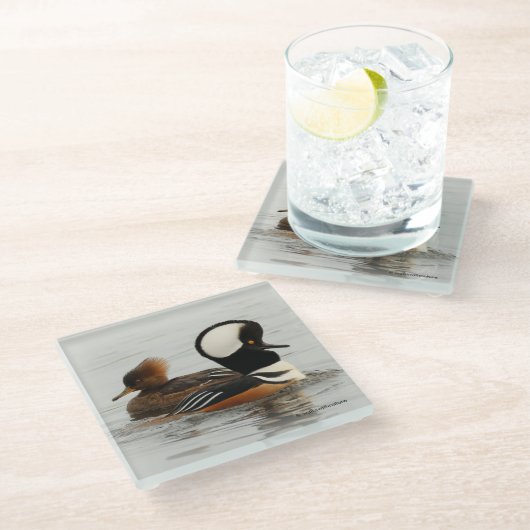 Een vergadering van de Gedekte Merganser Ducks bij Glazen Onderzetter (Schuin)