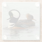 Een vergadering van de Gedekte Merganser Ducks bij Glazen Onderzetter (Achterkant)