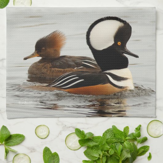 Een vergadering van de Gedekte Merganser Ducks bij Theedoek (Gevouwen)