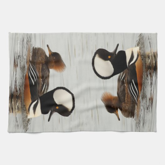 Een vergadering van de Gedekte Merganser Ducks bij Theedoek (Horizontaal)