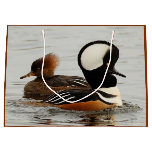 Een vergadering van gekookte micro-organismen groot cadeauzakje (Voorkant)