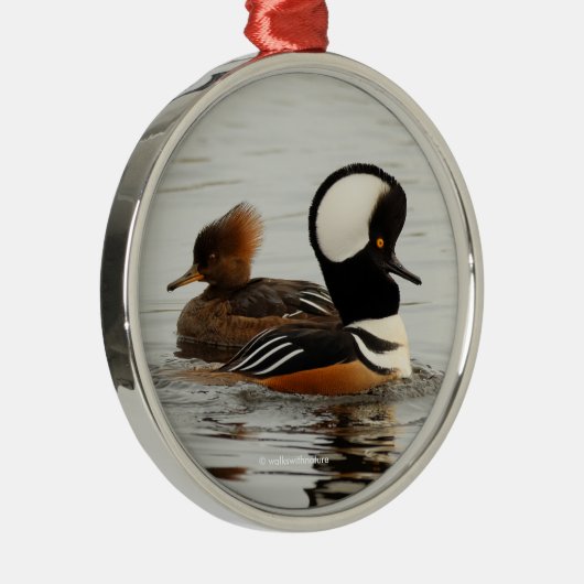 Een vergadering van gekookte micro-organismen metalen ornament (Rechts)