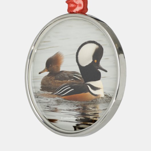 Een vergadering van gekookte micro-organismen metalen ornament (Links)