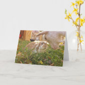 Een vergadering van het Wenskaart van Meningen Kaart (Gele Bloem)