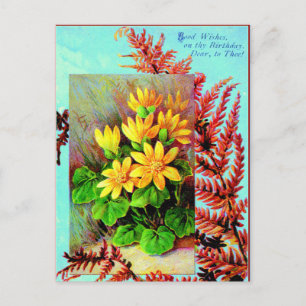 Een verjaardagsfeest briefkaart voor jou!