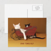 Een vermoeide Elf Humor Christmas Post Kaart (Voorkant / Achterkant)