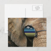 Een verontrustend klein Briefkaart (TM) (Voorkant / Achterkant)