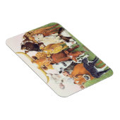 Een verrassende vreemdeling magneet (Rechterzijde)